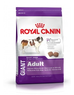 Royal Canin Giant Adulto 15...
