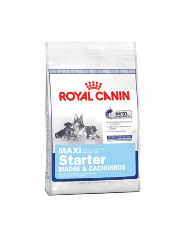 Royal Canin Maxi Starter 10 kg.