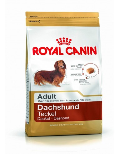 Royal Canin Dachshund Adulto 7,5 kg.
