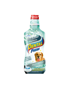 Dental Fresh Original...